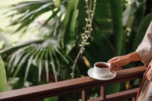 Chinese Medicine Hervey Bay. Drinking Herbs
