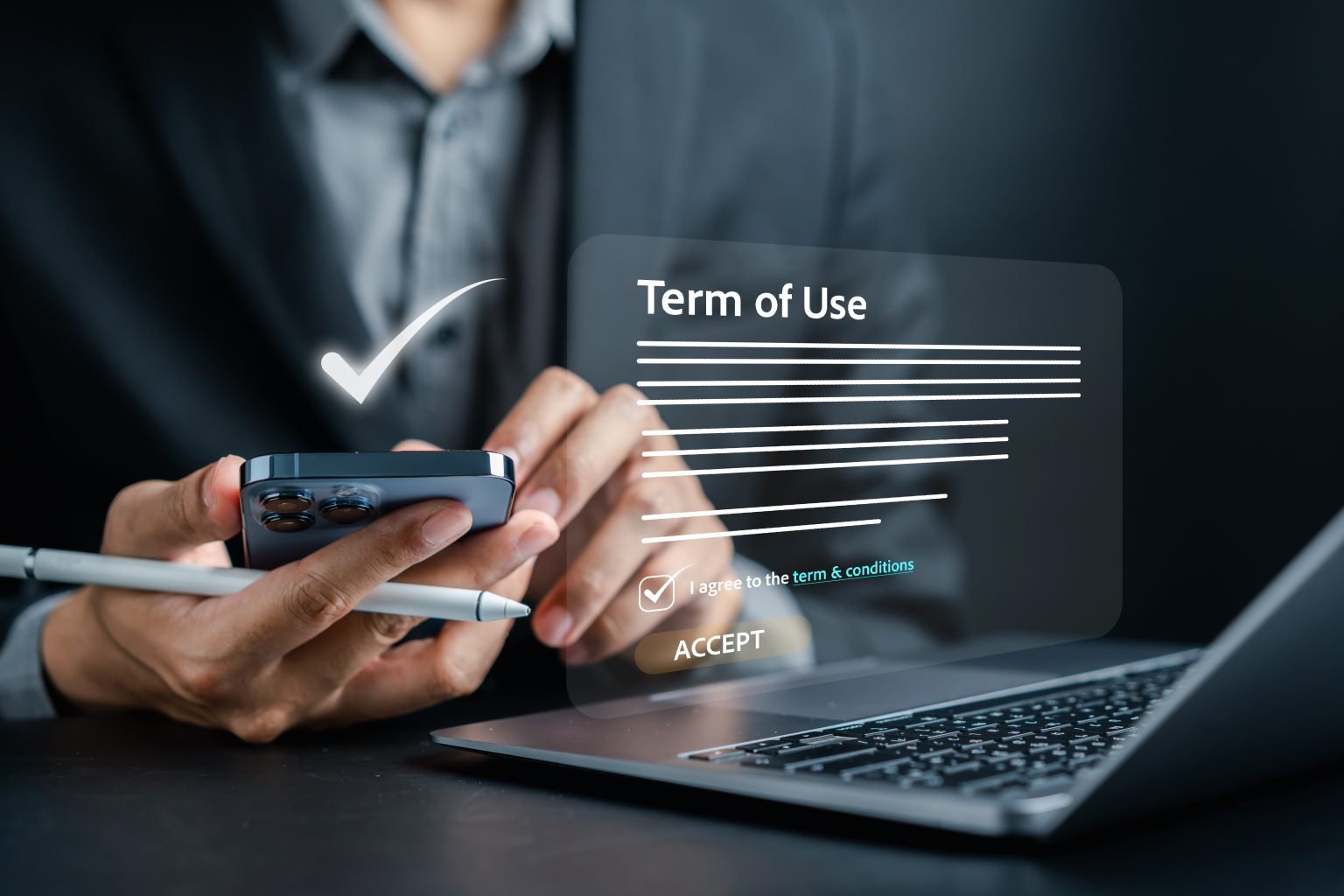 Terms and Conditions