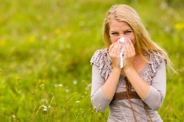 Hay Fever image for treatment in Hervey Bay